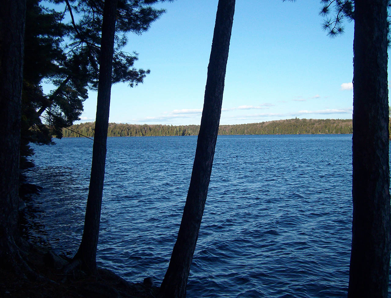 Burnt Island Lake Campsite 39
