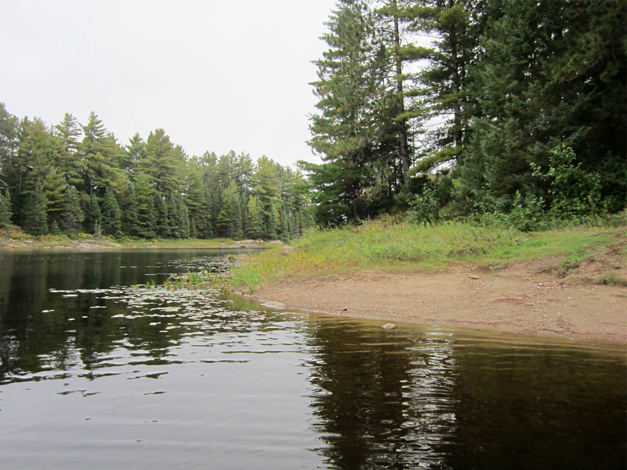 Catfish Lake Campsite 6