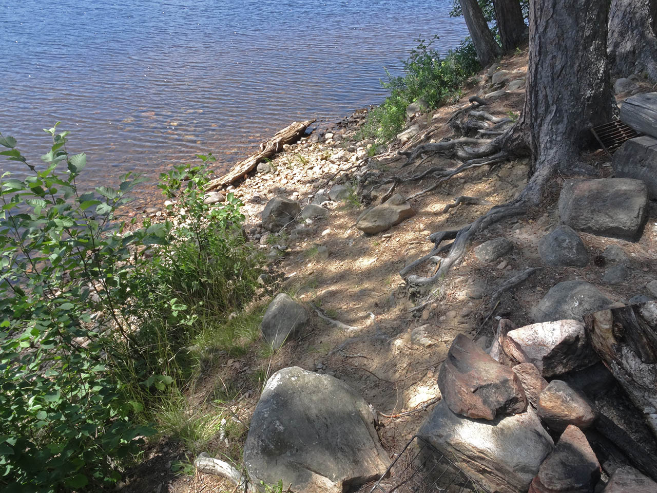 Mink Lake Campsite 3