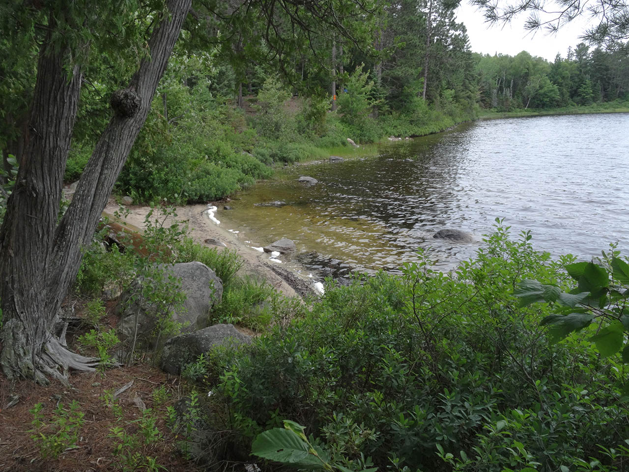 Mink Lake Campsite 4
