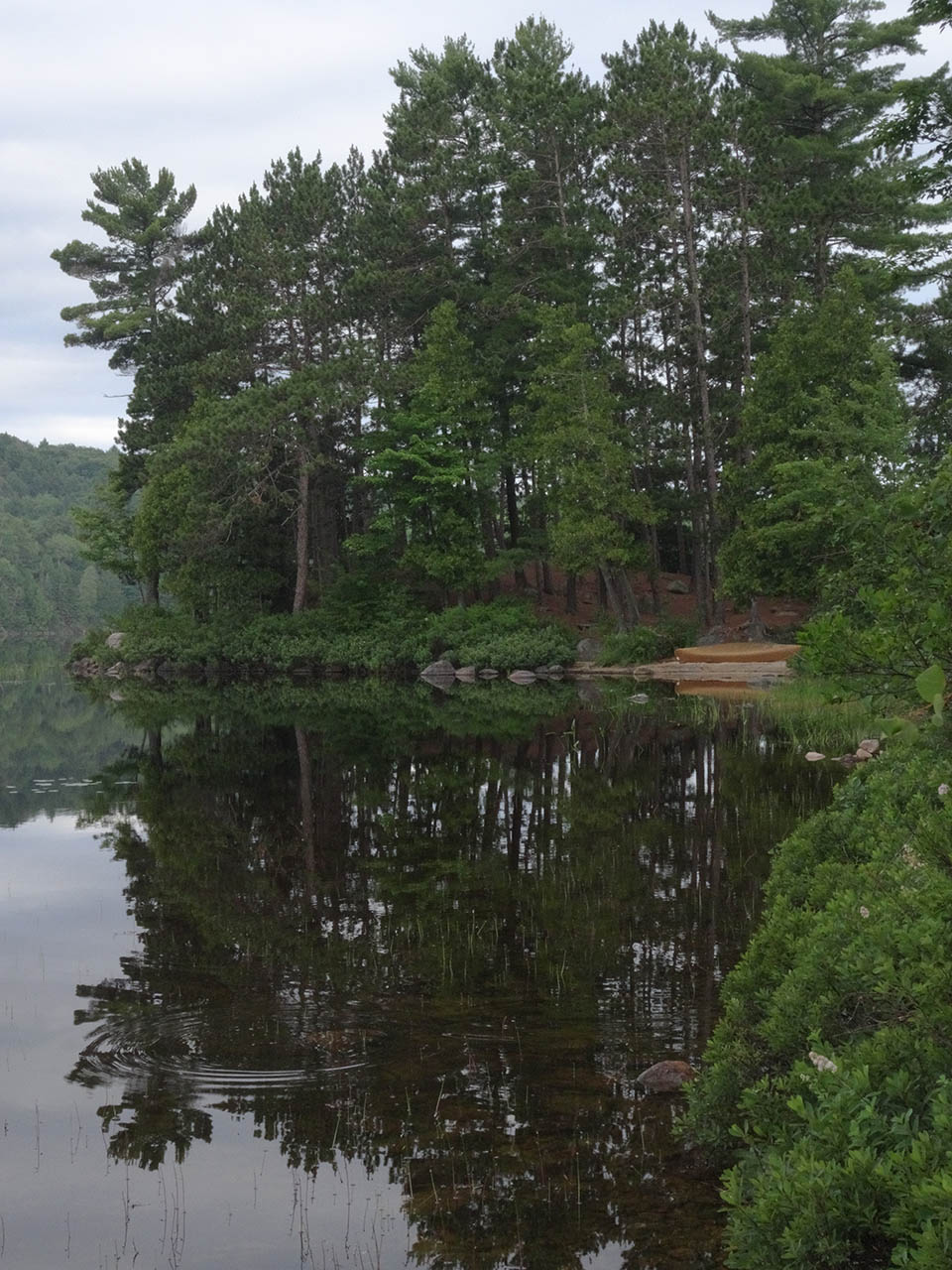 Mink Lake Campsite 4