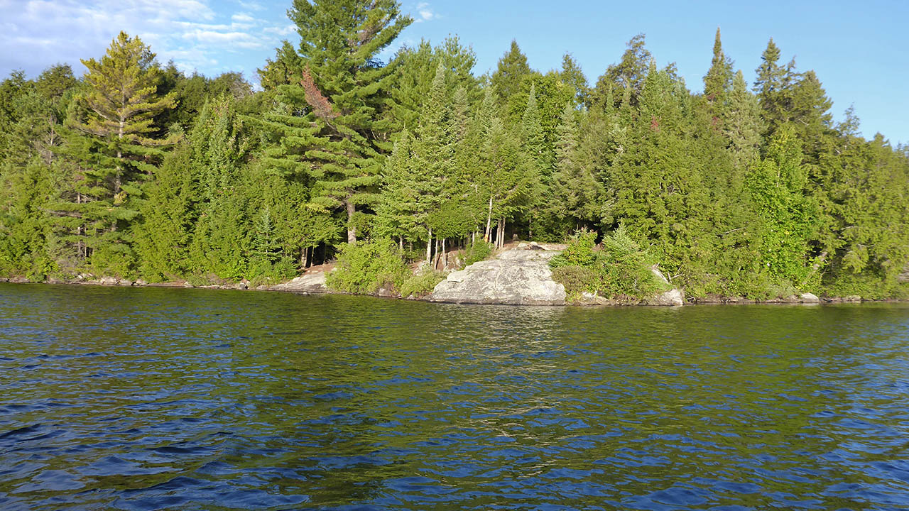 Three Mile Lake Campsite 6