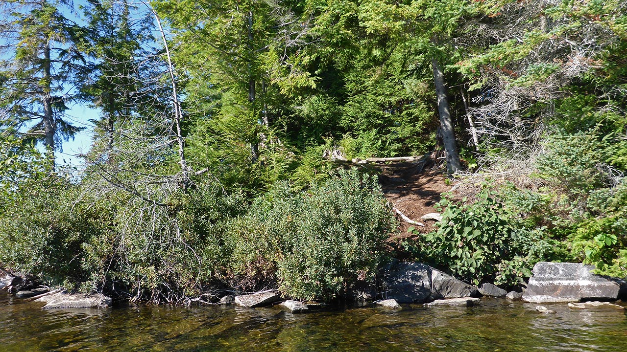Three Mile Lake Campsite 7