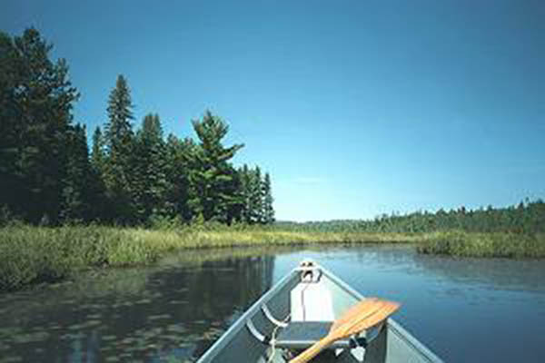 Heading north on Sunday Creek (west of the Visitors Centre)