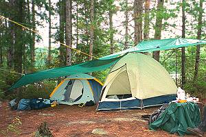 While the site had many flat areas, this was the only spot with enough surrounding trees to tie tarp ropes to.