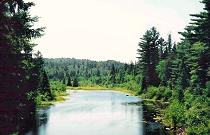 Nipissing River, looking upstream from their campsite .. photo by Rob Hardy.