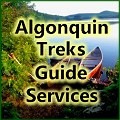 Travel into the Algonquin backcountry and learn to canoe, portage and camp.