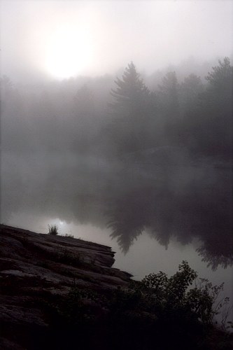 Photo by Mark Bellinger-Oehring