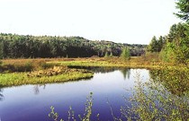 Looking west up the Nipissing River from our first campsite.