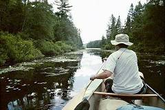 Hambone Creek