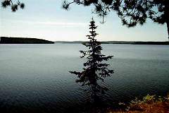 Big Trout Lake morning break view