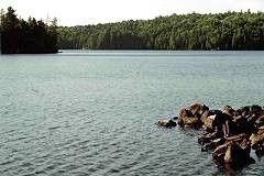 Redpine Bay campsite view
