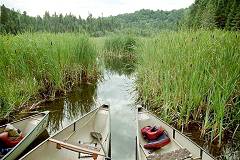Little Madawaska River, Hogan end of La Muir portage