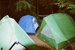 Hogan tent city