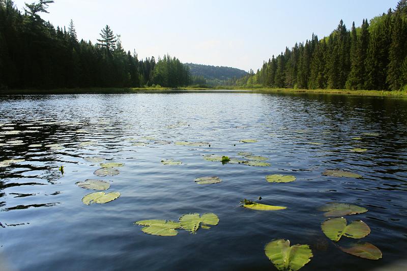 Hay Lake to Billings Lake by 'Gregory4' AlgonquinAdventures