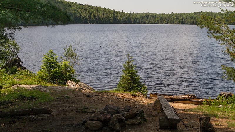 Campsite on west part of Galeairy Lake