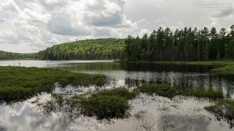 Ryegrass Lake from the portage from Booth Lake