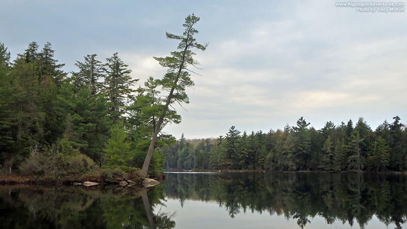 Maple Leaf Lake