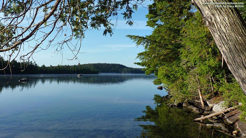 Ralph Bice Lake